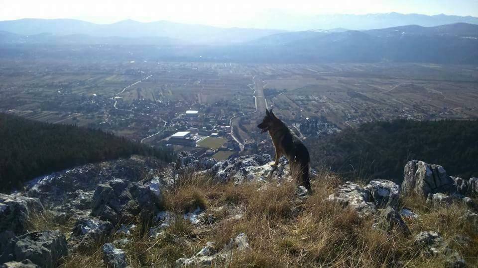 Apartman Studio Zdravko Eco Village Imotski Buitenkant foto